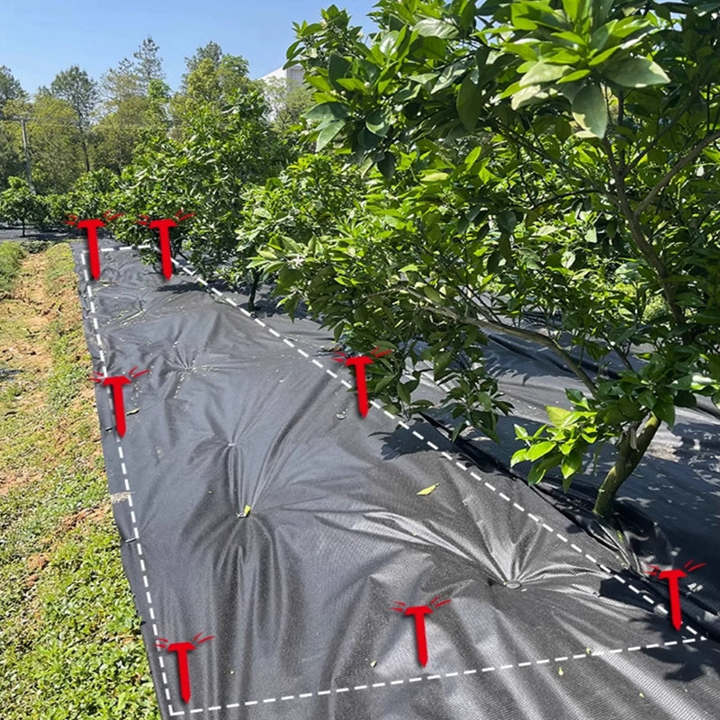 Complete Roll 100m Farm Greenhouse Gardening Ground Fabric Vegetable Fruit Garden Grass Barrier Weed Control Mat