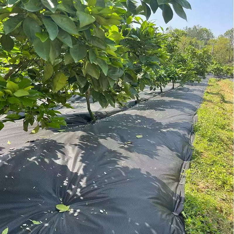 Complete Roll 100m Farm Greenhouse Gardening Ground Fabric Vegetable Fruit Garden Grass Barrier Weed Control Mat