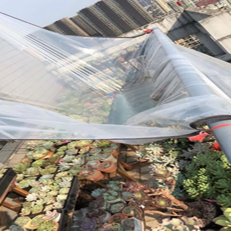 Customize Transparent PE Film Tarpaulin Garden Succulent Plants Rain Shelter Waterproof PE Tarp Cover