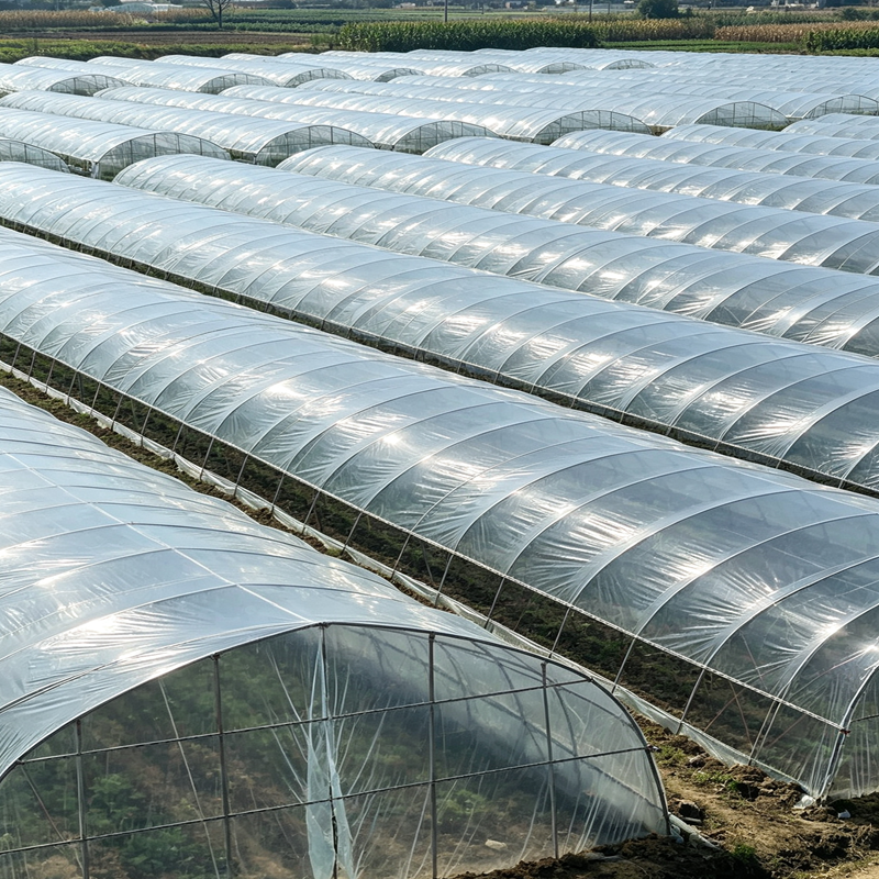 New Transparent PE Tarp Gazebo Canopy Awnings Outdoor Garden Succulent Plants Rainproof Cloth Keep Warm Tarpaulin