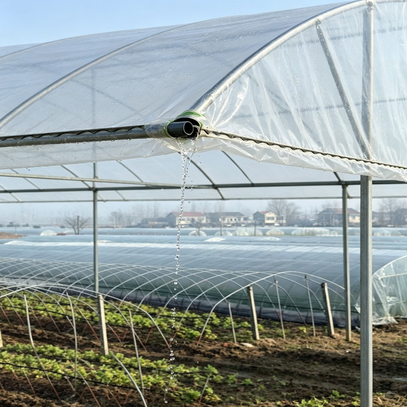 New Transparent PE Tarp Gazebo Canopy Awnings Outdoor Garden Succulent Plants Rainproof Cloth Keep Warm Tarpaulin