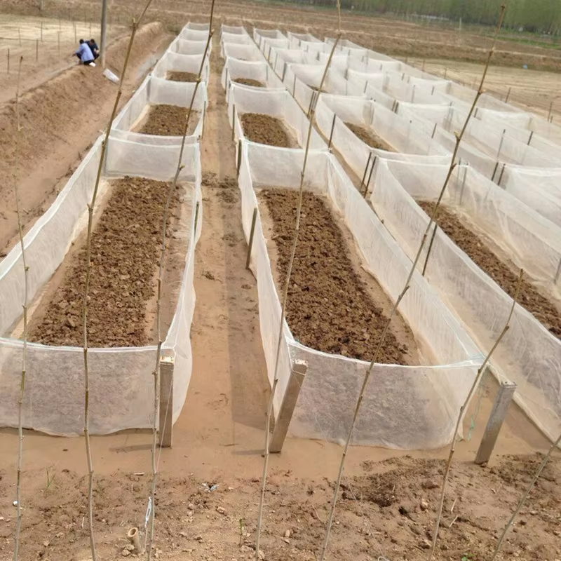 Fish Fry Breeding Cage Net Safe Fish Rearing Mesh Simple Design for Ponds and Aquarium Tanks