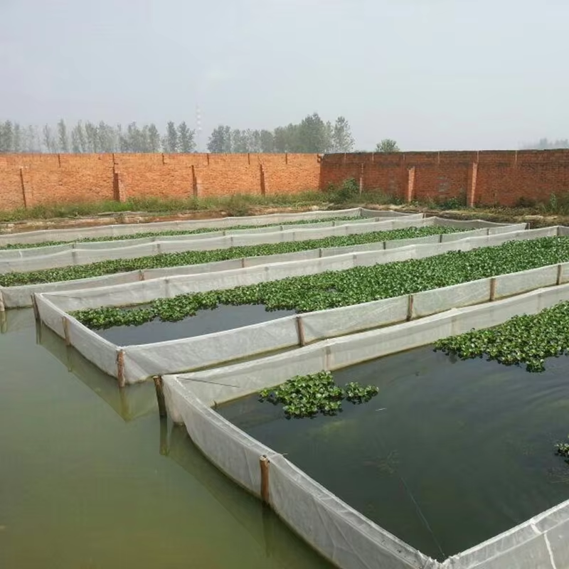 Fish Fry Breeding Cage Net Safe Fish Rearing Mesh Simple Design for Ponds and Aquarium Tanks