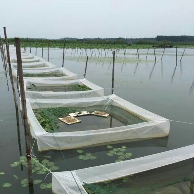 Fish Fry Breeding Cage Net Safe Fish Rearing Mesh Simple Design for Ponds and Aquarium Tanks