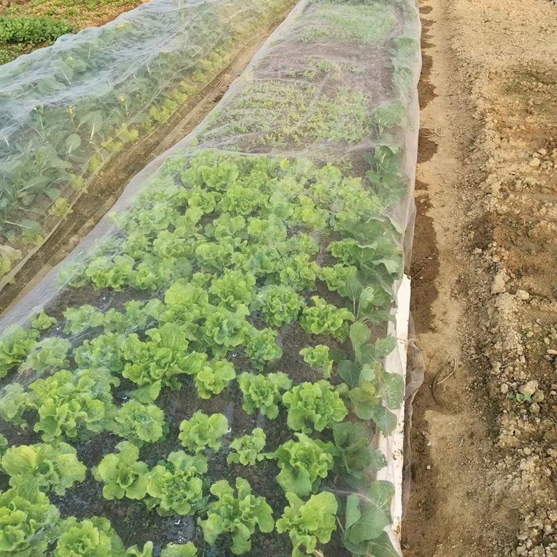 60~100mesh Thicken Garden Netting Vegetable Pest Control Nets Farm Orchard Fruits Tree Protection Cover Nets