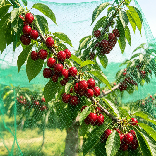 Customizable brand‑new polyethylene green fold‑able eco‑friendly bird‑proof net, suitable for protecting fruit trees and gardens in courtyards