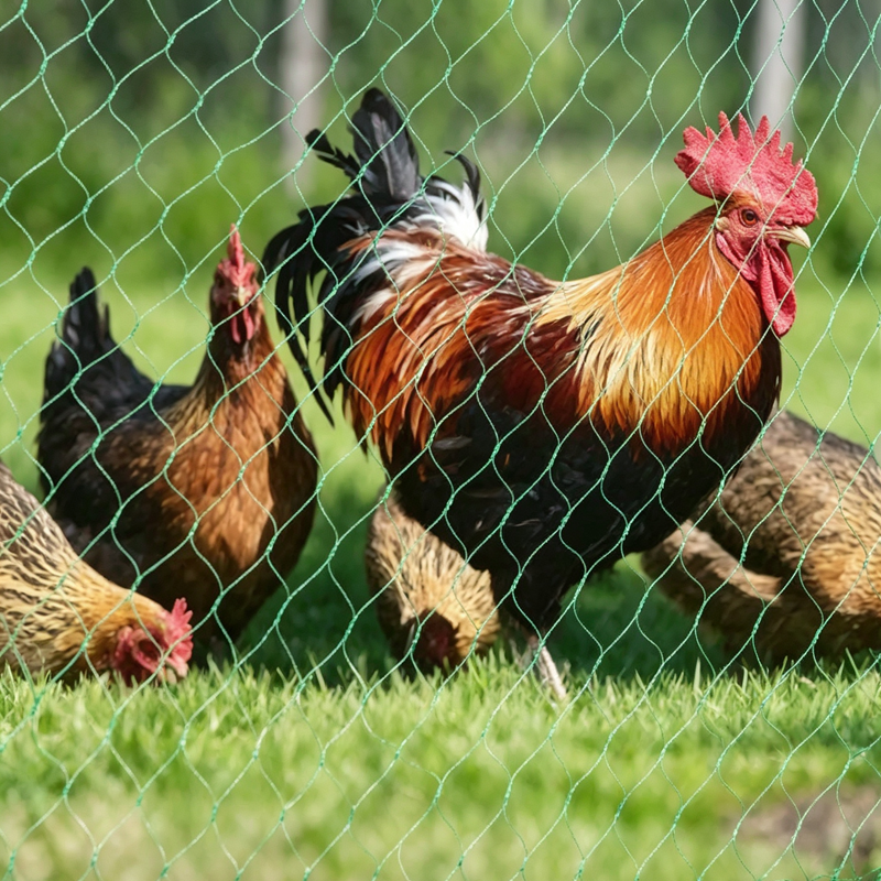 Customizable brand‑new polyethylene green fold‑able eco‑friendly bird‑proof net, suitable for protecting fruit trees and gardens in courtyards