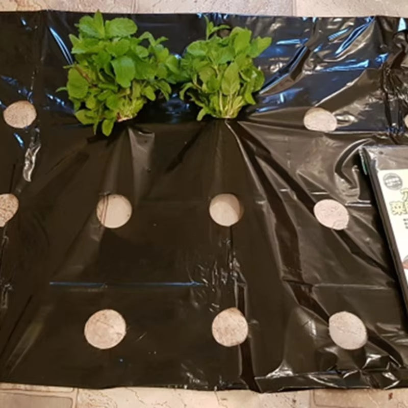 5Holes 0.02mm Black Garden Film Agricultural Plants Grow Film Protection Cover Greenhouse Perforated PE Mulch Film