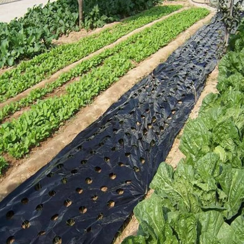 5Holes 0.02mm Black Garden Film Agricultural Plants Grow Film Protection Cover Greenhouse Perforated PE Mulch Film