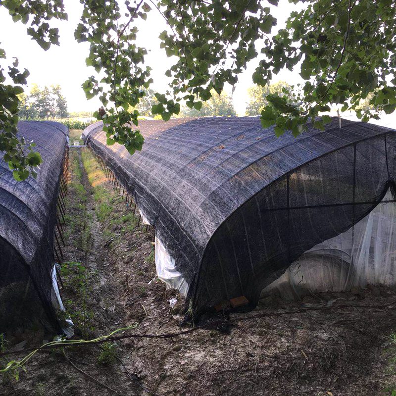 3 Pin Black HDPE Sun Shade Cloth 40-50% UV Block Greenhouse Patio Fence Privacy Screen