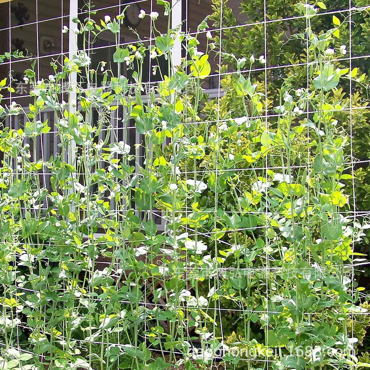 2pcs Heavy Duty Polyester Plant Trellis Netting Garden Support Vine Plants Climbing Net Hydroponics Garden Net