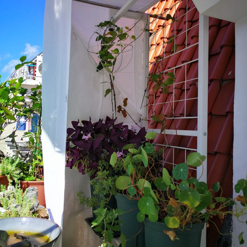 White Color Thicken UV Block HDPE Sun Shade Net Garden Fence Balcony Screen Terrace Privacy Netting
